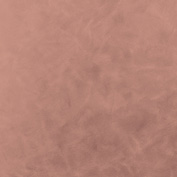 props.color.colors_id.id
