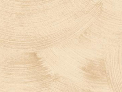 props.color.colors_id.id