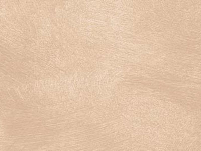 props.color.colors_id.id