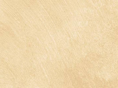 props.color.colors_id.id