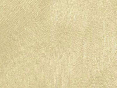 props.color.colors_id.id