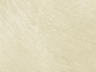 props.color.colors_id.id