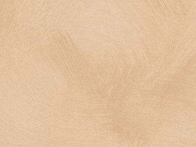 props.color.colors_id.id