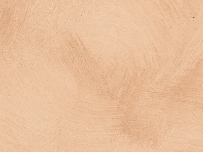 props.color.colors_id.id