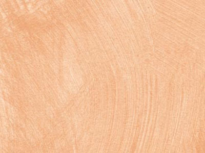 props.color.colors_id.id