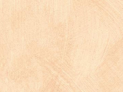 props.color.colors_id.id