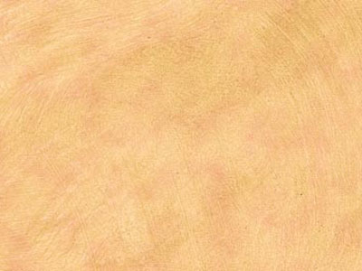 props.color.colors_id.id