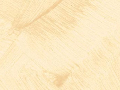 props.color.colors_id.id