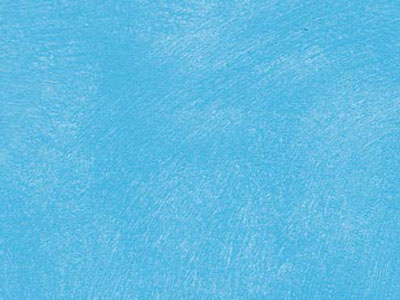 props.color.colors_id.id