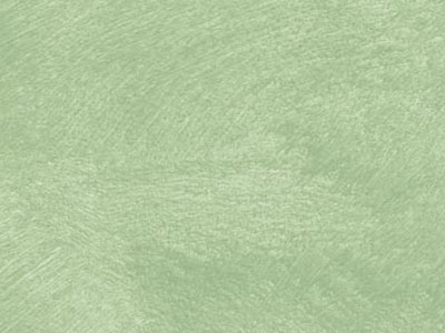 props.color.colors_id.id