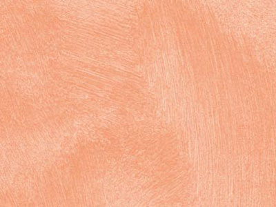 props.color.colors_id.id