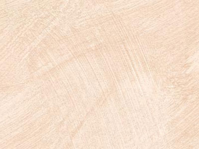 props.color.colors_id.id