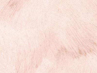 props.color.colors_id.id