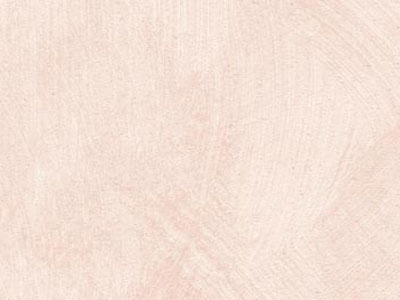 props.color.colors_id.id