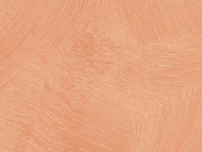 props.color.colors_id.id