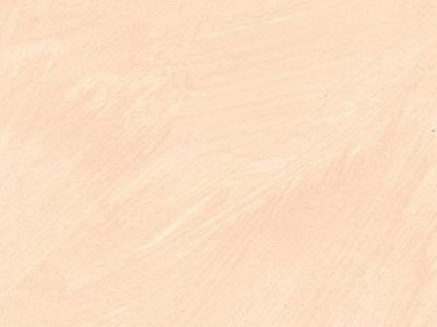 props.color.colors_id.id