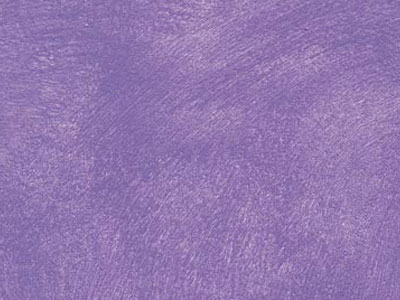 props.color.colors_id.id