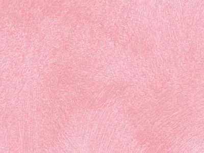 props.color.colors_id.id