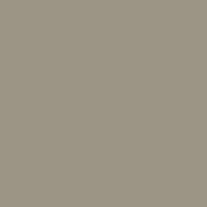 props.color.colors_id.id